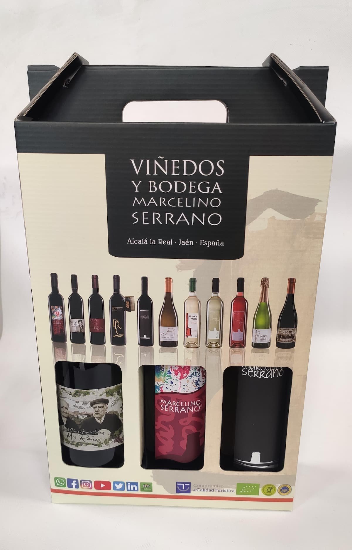 Lote Nº12: