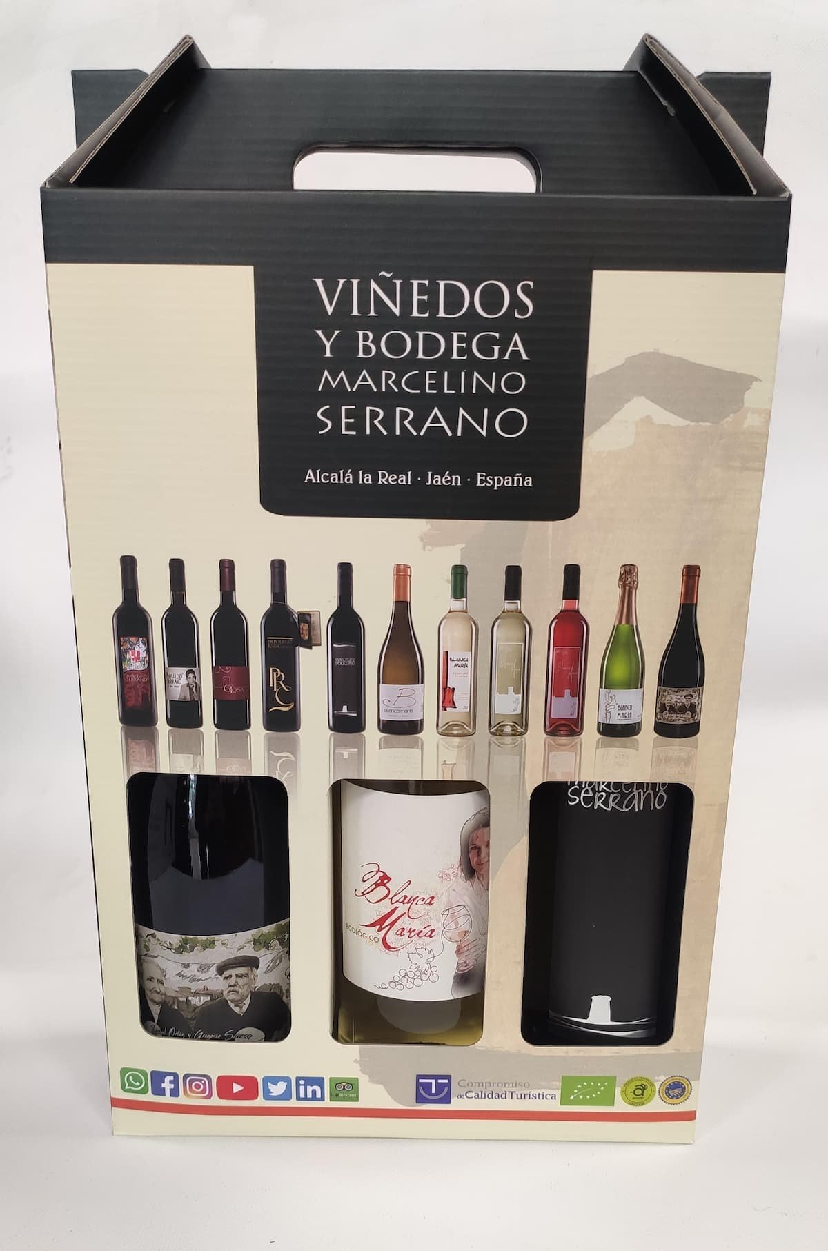 Lote Nº11: